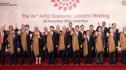 Chinese President Xi Jinping and Chief Executive Leung Chun-ying join Apec leaders for a group photo at the end of a summit in Peru.