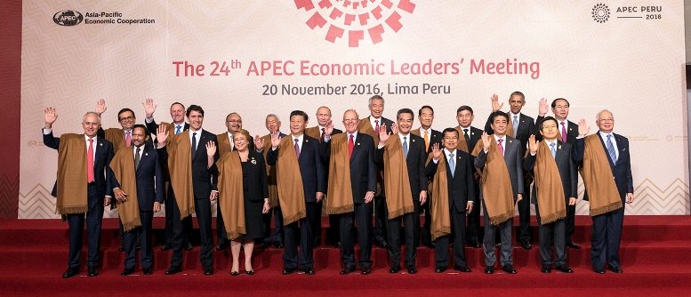 Chinese President Xi Jinping and Chief Executive Leung Chun-ying join Apec leaders for a group photo at the end of a summit in Peru.